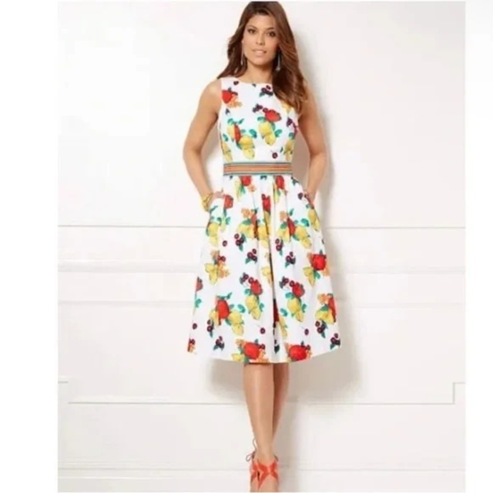 Eva Mendes New York & Co Julianne Retro Fruit Midi Fit Flare Dress 6 New Pockets